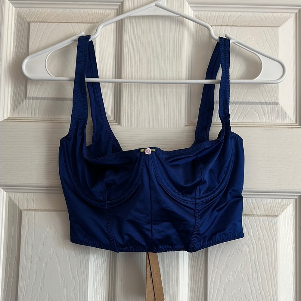 NWT Skims Neptune Satin Corset